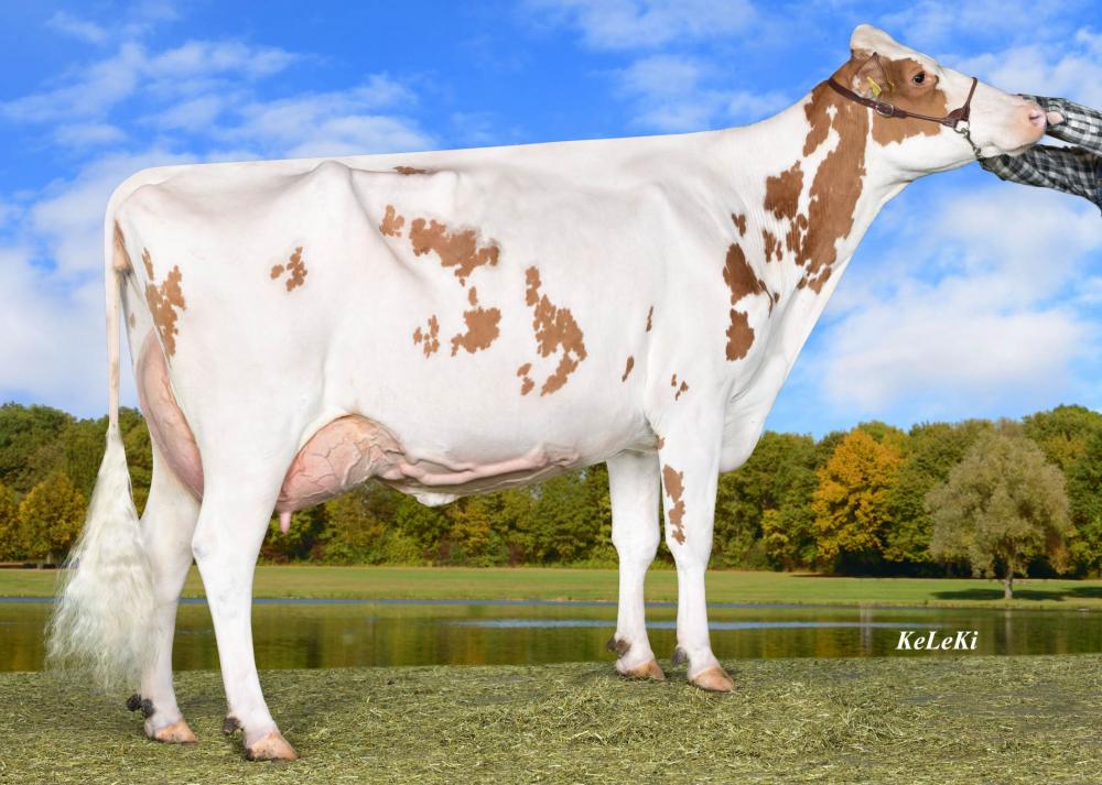 Wilder K25 EX-90 (5. Mutter)