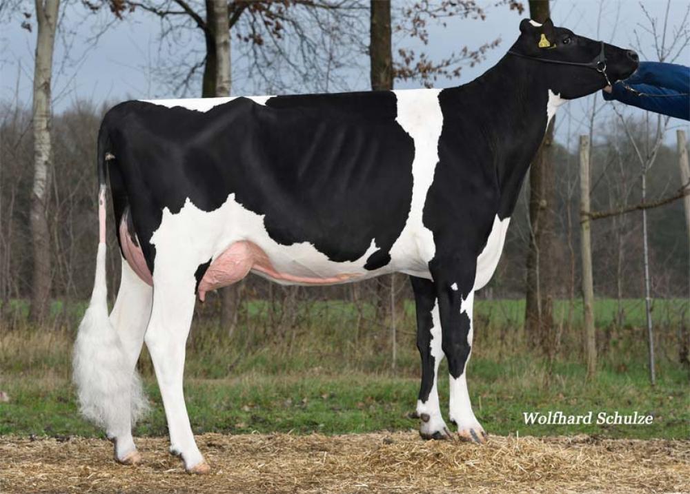 UGM/GGD: Rosylane Kerrigan VG-86
